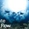 Create with Flow | How to use Google’s AI Creative Studio
